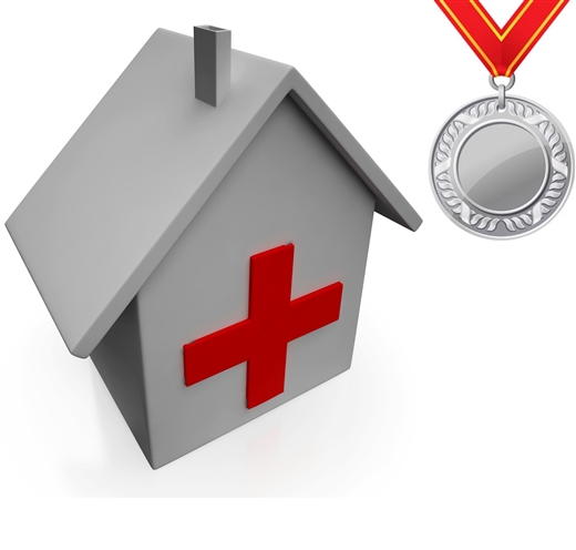 Home Health Agency 360Â° Disaster Plan (Silver)